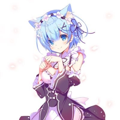 八千代さんのプロフィール画像