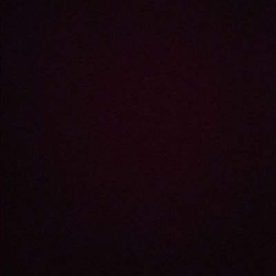 WildanAdji's profile picture. 1000101