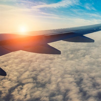 orzxx31's profile picture. 