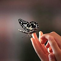 amine (@nazlrnek) 's Twitter Profile Photo