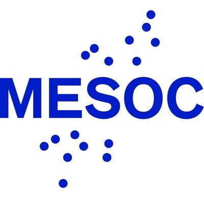 MESOC (Measuring the Social Dimension of Culture) a Research and Innovation Action funded by H2020