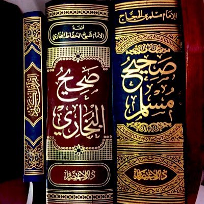 عن معاوية بن أبي سفيان: سَمِعْتُ النبيَّ صَلّى اللهُ عليه وسلَّمَ يقولُ: مَن يُرِدِ اللَّهُ به خَيْرًا يُفَقِّهْهُ في الدِّينِ، ..............، صحيح البخاري ٧١