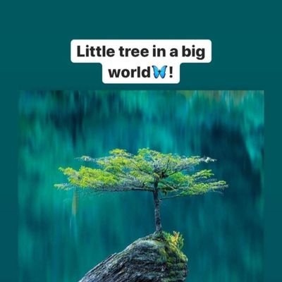 RoyaltyofR's profile picture. If you have the courage to begin, you have the courage to succeed. 