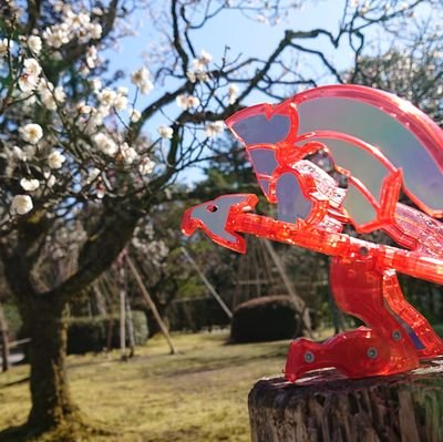 RUA_HIBIKI's profile picture. 涙愛（るあ）です٭❀*響鬼が大好きな社会人(*´`*)【趣味垢＆日常垢】 #ディスクアニマルの居る日常  【フォロバしろと声掛けて貰えればすぐします】