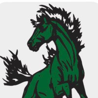 Clear Fork Basketball (@fork_clear) 's Twitter Profile