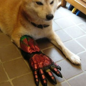 OTEさんのプロフィール画像
