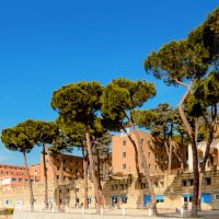 ISD de Rome (@institutrome) 's Twitter Profile Photo ISD de Rome (@institutrome) 's Twitter Profile Photo