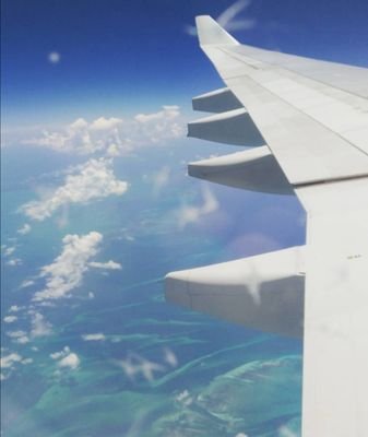 Where2go11's profile picture. Wanderlust🌍