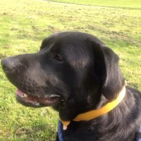 mark booth (@boothml1970) 's Twitter Profile