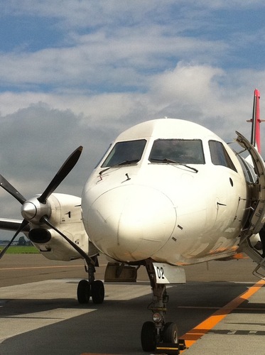 SPK_HND's profile picture. ＼ ヒコーキ🛫とパンダ🐼と馬🏇／