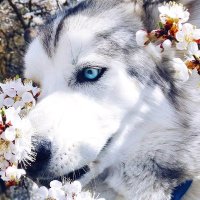 Elizabeth (@el_wainer) 's Twitter Profile