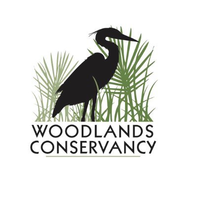 Woodlands Conservancy is protecting and restoring forested wetlands in the the Greater New Orleans area.
