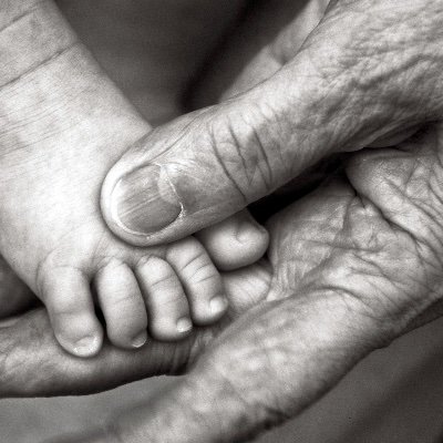 JustFactsToday's profile picture. I promise to be entertaining over time!