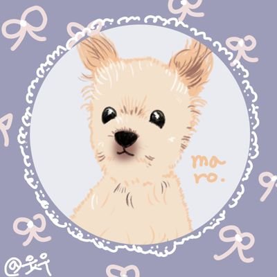 마로🐾さんのプロフィール画像