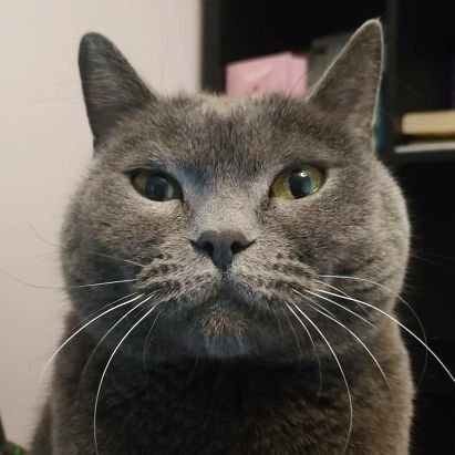 GouDonnie's profile picture. this guy is a good person, please be nice to him..:p