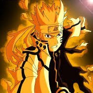 theo28964835's profile picture. 