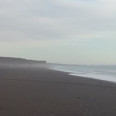 negro19752's profile picture. Patagonico.