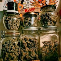 Paol@_40 (@chaparritapao1) 's Twitter Profile