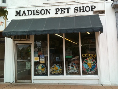 55 HQ Pictures Madison Pet Shop Hours / The Unity Tour Pet Shop Boys