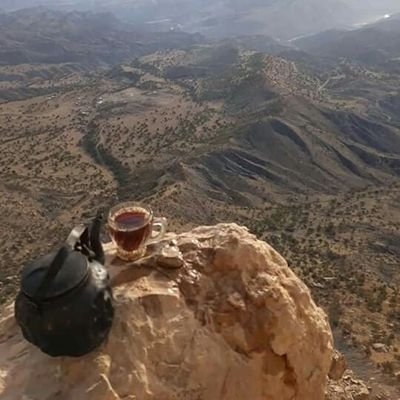 HamdinKaptan3's profile picture. h