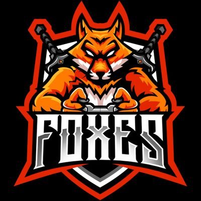 OFFICIAL | ACCOUNT📍〽
🎮| Semi-professional eSports club
#COD #MTGarena #CSGO
🏆| Competitive team
📤| Contact us DM or TeamFoxesGaming@gmail.com