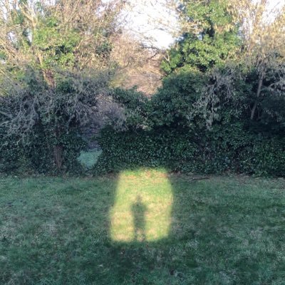 Robinmfos's profile picture. 