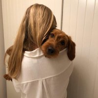 Kate Croxton (@thecroxy) 's Twitter Profile Photo Kate Croxton (@thecroxy) 's Twitter Profile Photo