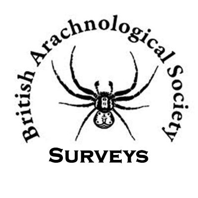 Join the British Arachnological Society (BAS) in #CellarSpiderSurvey, #GardenSpiderDensitySurvey and #NurserywebSpiderSurvey to help identify Britain’s spiders!