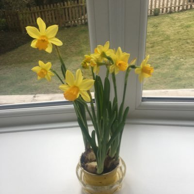 uselessatit's profile picture. 