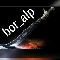 bor_alp_ (@bor_alp_) 's Twitter Profile
