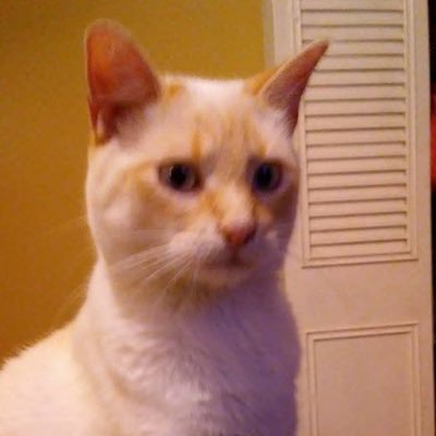 shank76380211's profile picture. Freak wt big bank💰