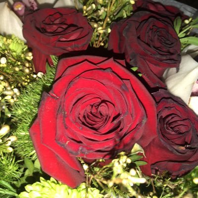 kifahalmatr's profile picture. مشرفة لغة عربية بمكتب التعليم بالقطيف