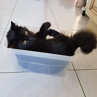 Duro_66's profile picture. 