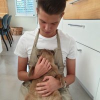 Luke Albert (@alb_luke) 's Twitter Profile