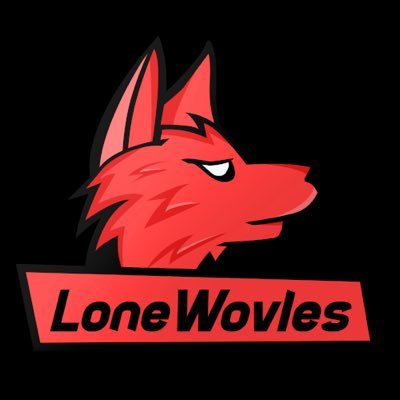 🐺 Competitive Fortnite Console Team