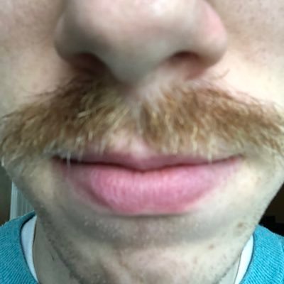 stache_of_david's profile picture. David’s Mustache
