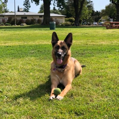 MattBeving's profile picture. Dad, Husband, Dude. Dodgers diehard