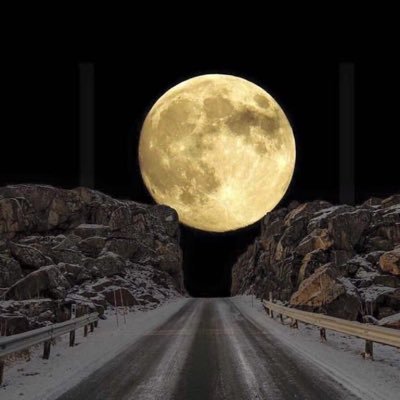 azooz_AMS_'s profile picture. قد يكون الغياب حلواً.. إنما الحاضر أحلى..