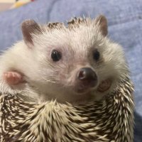 ์
์
๋๋ค. (@sev1006) 's Twitter Profile Photo ์
์
๋๋ค. (@sev1006) 's Twitter Profile Photo