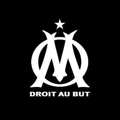 Fan de l'⚽️Ⓜ️* #Olympique_de_Marseille, le sang bleu et blanc dans mes veines -👉💙