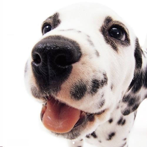 TamadBoy's profile picture. 詳しくはこちら
https://t.co/aHgsNSOpWc