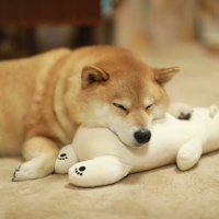 🦁DJ.わっくん🐶☞😷🍌ガッチガチやぞ (@waccun_24h009) Twitter profile photo