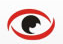 codevisionbr's profile picture. Desenvolvimento de softwares