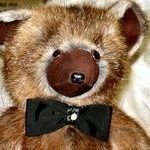 行方不明のくまさんのプロフィール画像