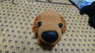 wPRY9Ihso1W6Idb's profile picture. 登録は3年前、今年の3月香港問題から情勢を知りたくて、Twitterを見始めてからちょこちょこ参加してます。
理不尽な事ばかりな社会。何があっても自分が主人公の自分の人生少しでも楽しく元気に前を向いてたい。いろんな事に興味はあるけど飽きっぽいのが🥴🥴🥴

ライフワークと思えるような事を見つけられたらと思ってます。