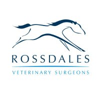 Rossdales EquineVets (@rossdalesvets) 's Twitter Profile Photo