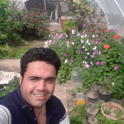 Javadsa65791677's profile picture. 