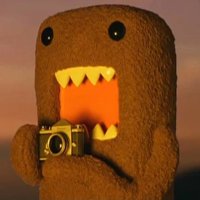 seriouslyfunny photography(@sfphoto11) 's Twitter Profile Photo