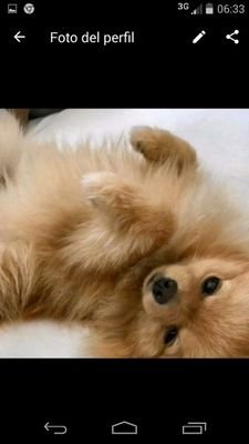 Nataliacv60's profile picture. 