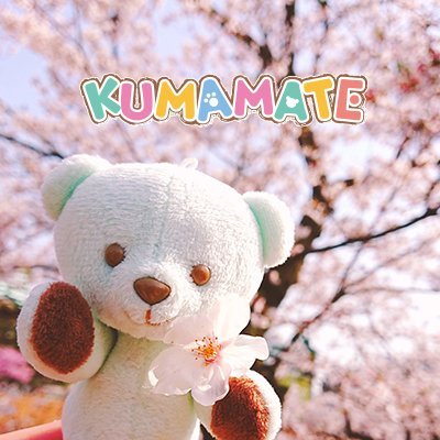 くまめいと情報局さんのプロフィール画像